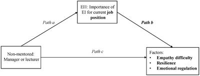 The role of mentoring in developing leaders’ emotional intelligence: exploring mentoring types, emotional intelligence, organizational factors, and gender